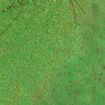 Visualizer · forest-crops4