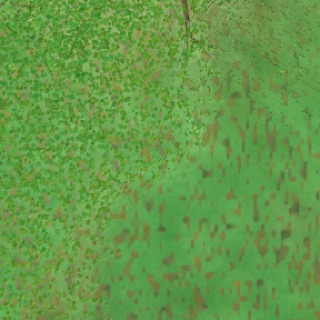 Visualizer · forest-crops4