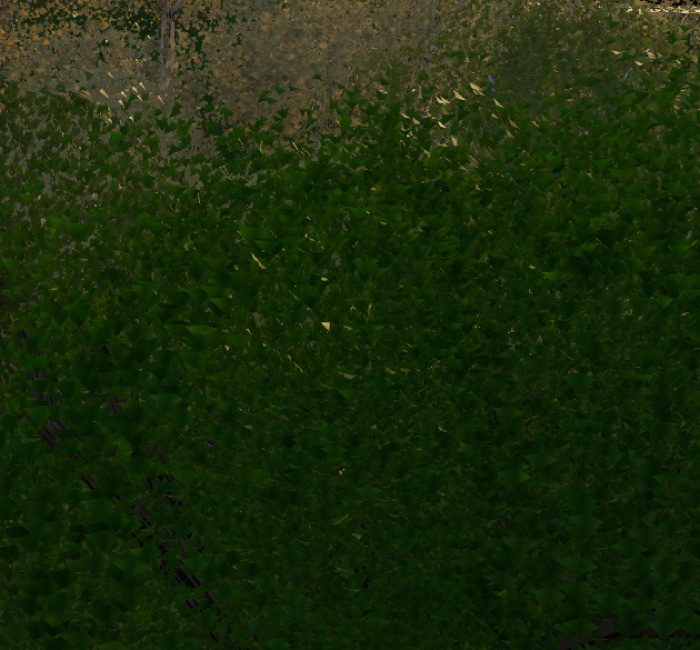 Visualizer · forest-crops