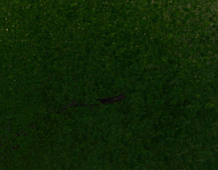 Visualizer · forest-crops