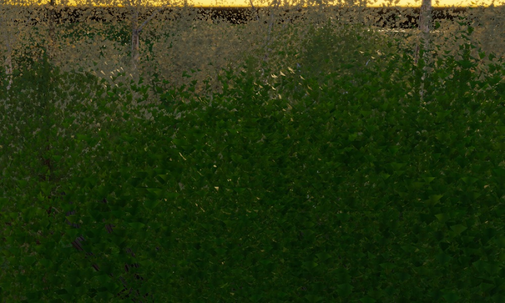 Visualizer · forest-crops